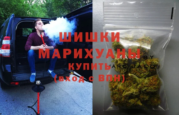 стаф Богданович