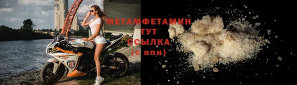 стаф Богданович