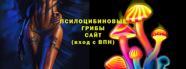 МДПВ Богородицк
