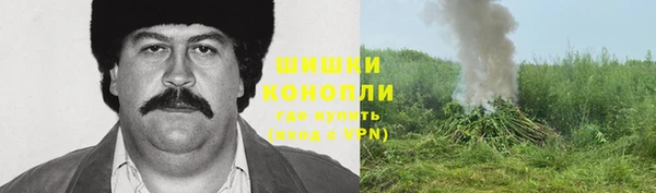 стаф Богданович
