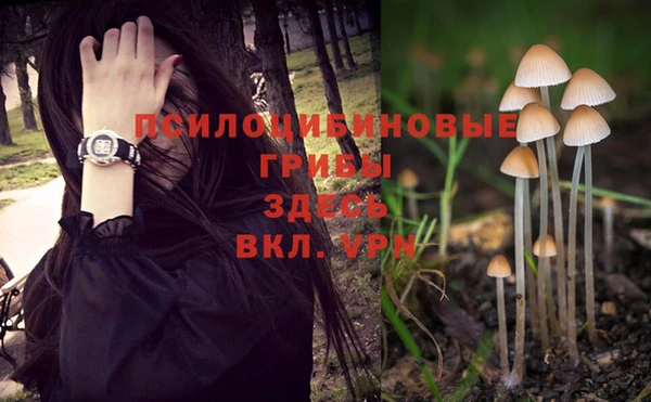 COCAINE Богородск