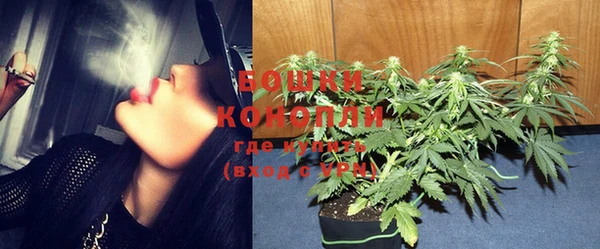 стаф Богданович