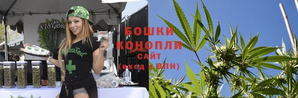 МДПВ Богородицк